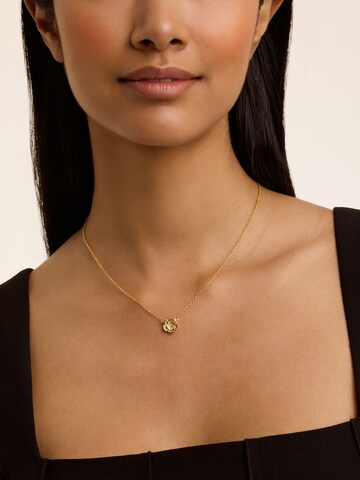 Ted Baker Necklace 'FLORITA' in Gold