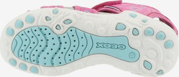 GEOX Geox Sandale in Pink