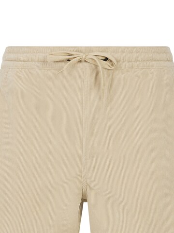 PROTEST Regular Pants 'PRTUleyo' in Brown
