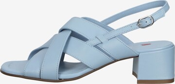 Sandales Högl en bleu