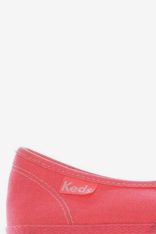 KED Sneaker 35,5 in Pink