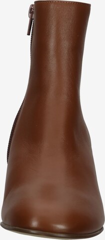 Högl Booties 'Fred' in Brown