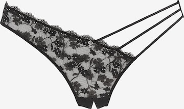 PETITE FLEUR GOLD Stringit värissä musta: etupuoli