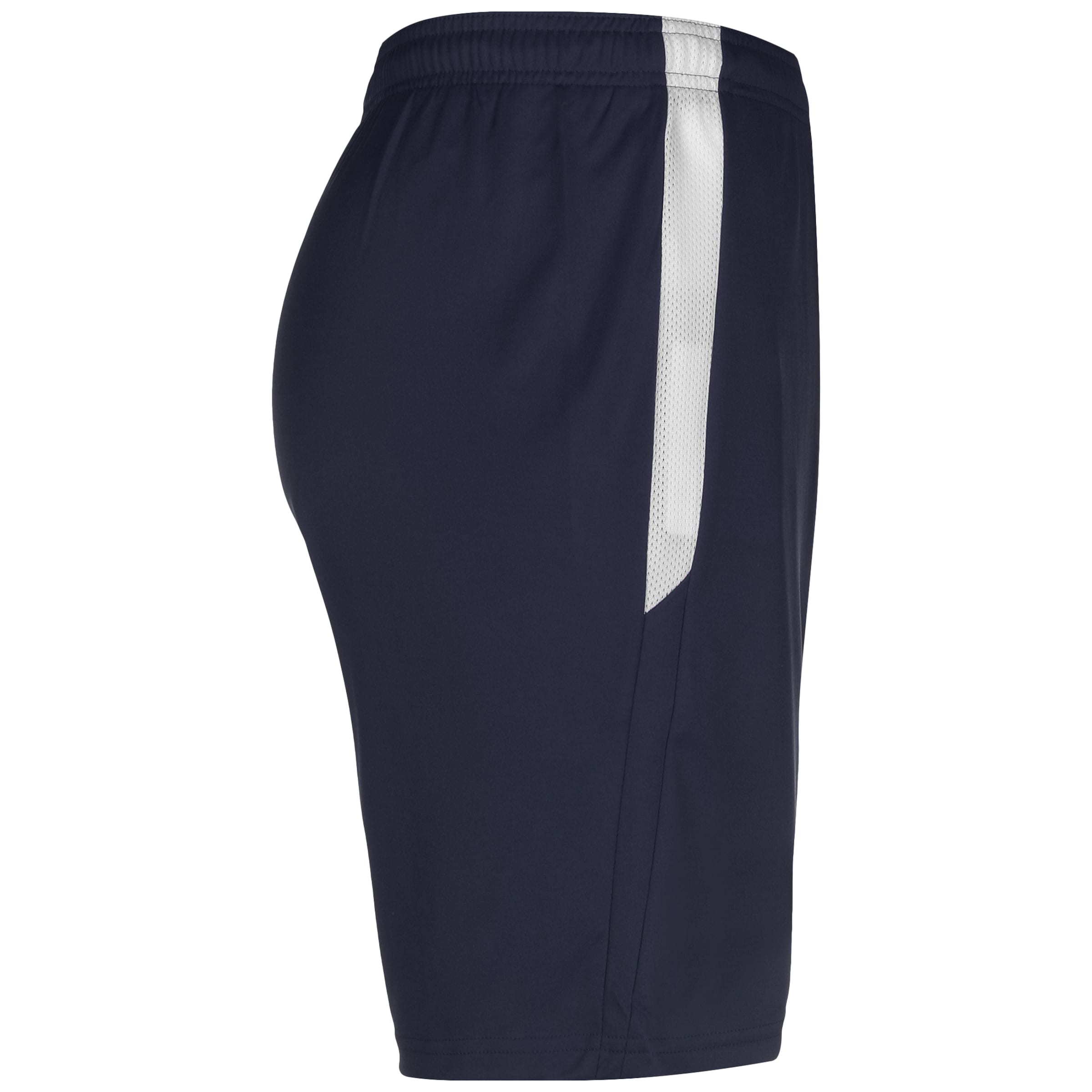PUMA Regular Workout Pants 'TeamLiga' in Blue