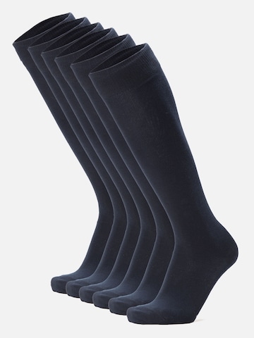 Ciocca Knee High Socks in Blue: front