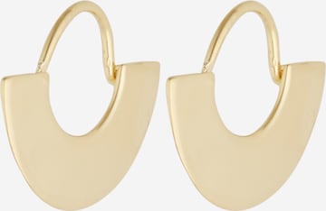 ANIA HAIE Earrings 'Fan Hoop' in Gold: front