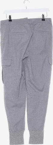 Peserico Pants in S in Grey
