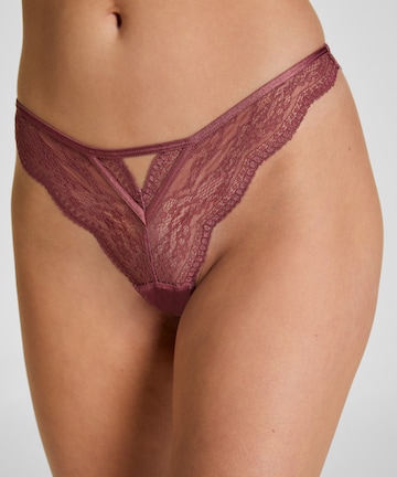 Hunkemöller Boyshorts 'Isabelle' in Purple