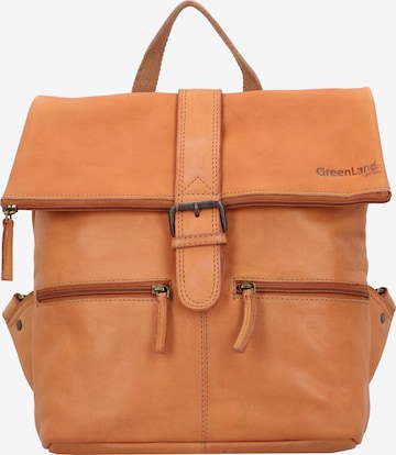 Greenland Nature Backpack in Brown: front