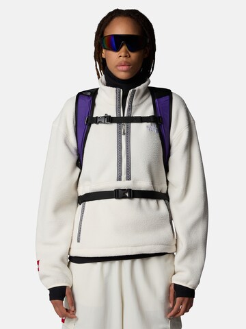 THE NORTH FACE Sportrugzak 'BOREALIS ' in Lila