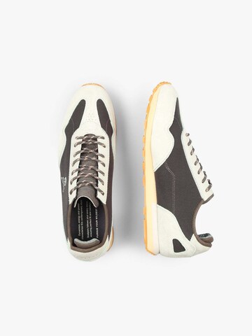 Scalpers Sneakers laag in Grijs