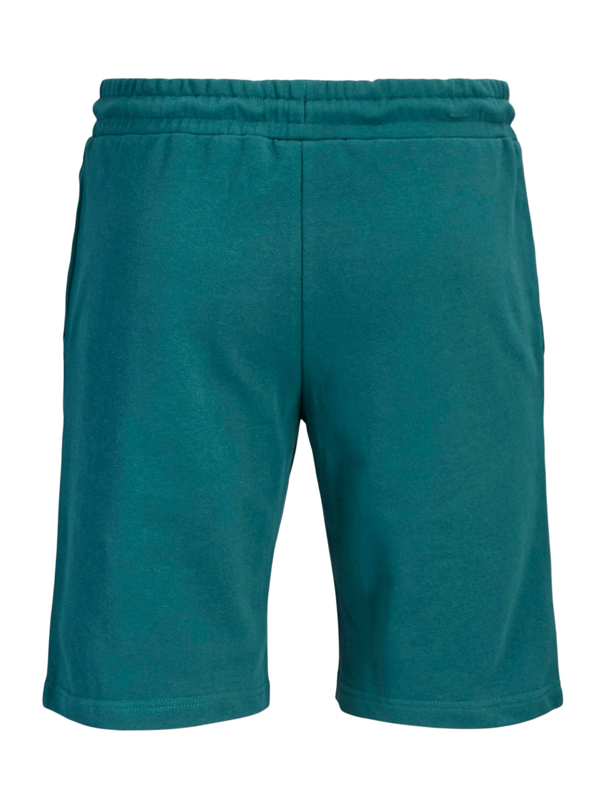 Regular Pantalon 'JPSTGORDON' JACK & JONES en vert