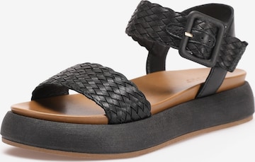 INUOVO Strap Sandals in Black: front