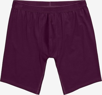 JP1880 Boxershorts in Lila: Vorderseite