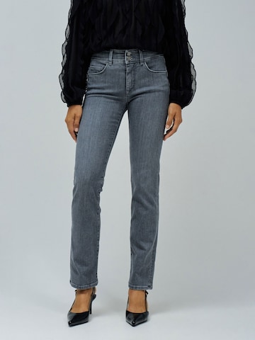 Salsa Jeans Skinny Jeans Secret in Grau: Vorderseite