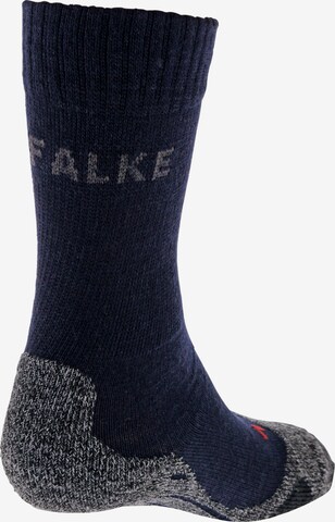 FALKE - Meias de desporto em azul