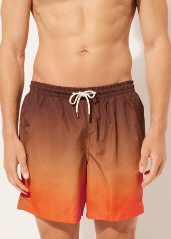 CALZEDONIA Regular Board Shorts in Brown: front