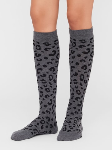 CALZEDONIA Knee High Socks in Grey