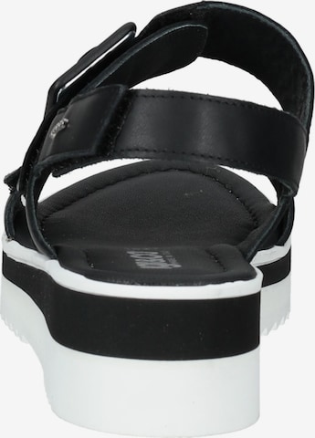 Sandales IGI&CO en noir