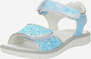 PRIMIGI Sandals 'PAL' in Blue: front