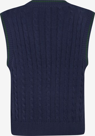 DENIM CULTURE Sweter 'Ludano' w kolorze niebieski