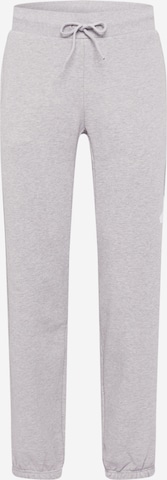 ADIDAS PERFORMANCE - Pantalón deportivo en gris: frente