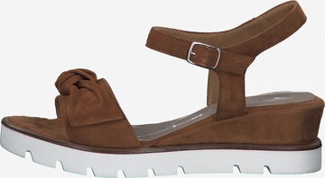 TAMARIS Strap Sandals in Brown