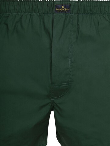 Boxers Steppin' out en vert