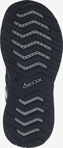 Sneaker di GEOX in blu