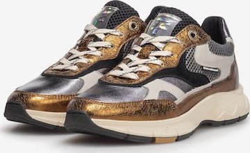 Sneaker bassa 'DAYSI 03' di Floris van Bommel in marrone: frontale