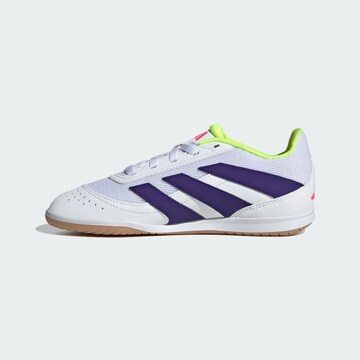 Chaussure de sport 'Predator Club Sala' ADIDAS PERFORMANCE en blanc