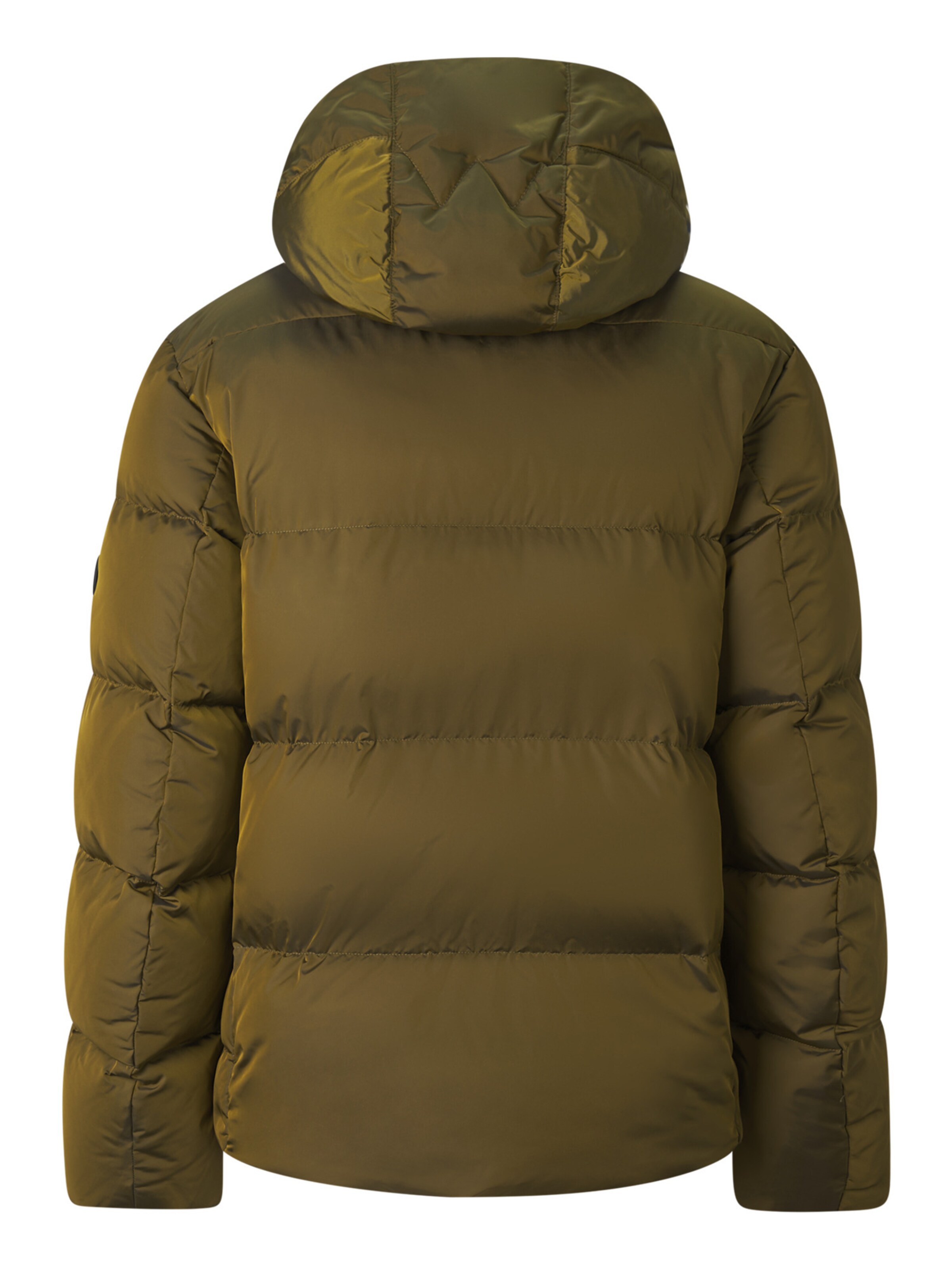 BOGNER Winter Jacket in Green