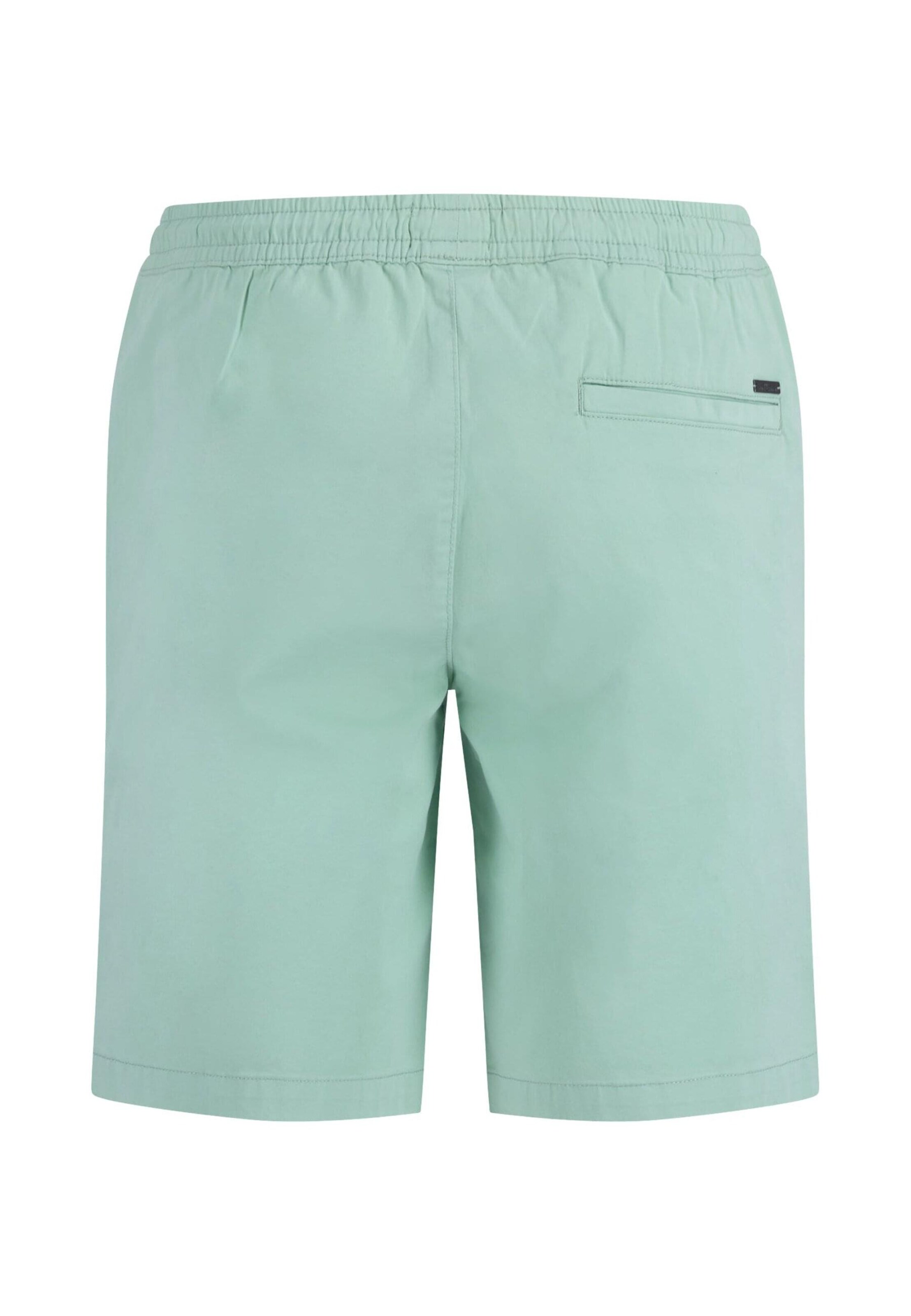 FYNCH-HATTON Обычный Штаны в Зеленый