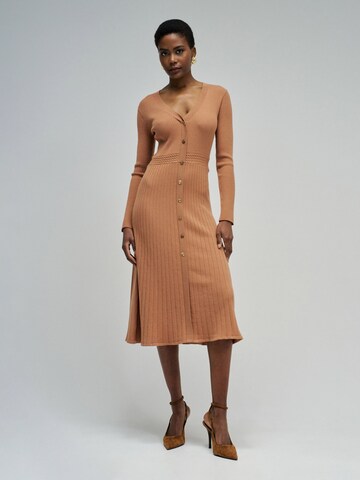 Salsa Jeans Jurk in Bruin