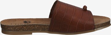 COSMOS COMFORT T-Bar Sandals in Brown