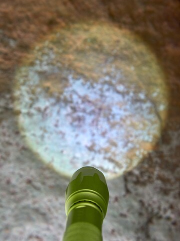 HABA Craft items ' Terra Kids Taschenlampe ' in Mixed colors