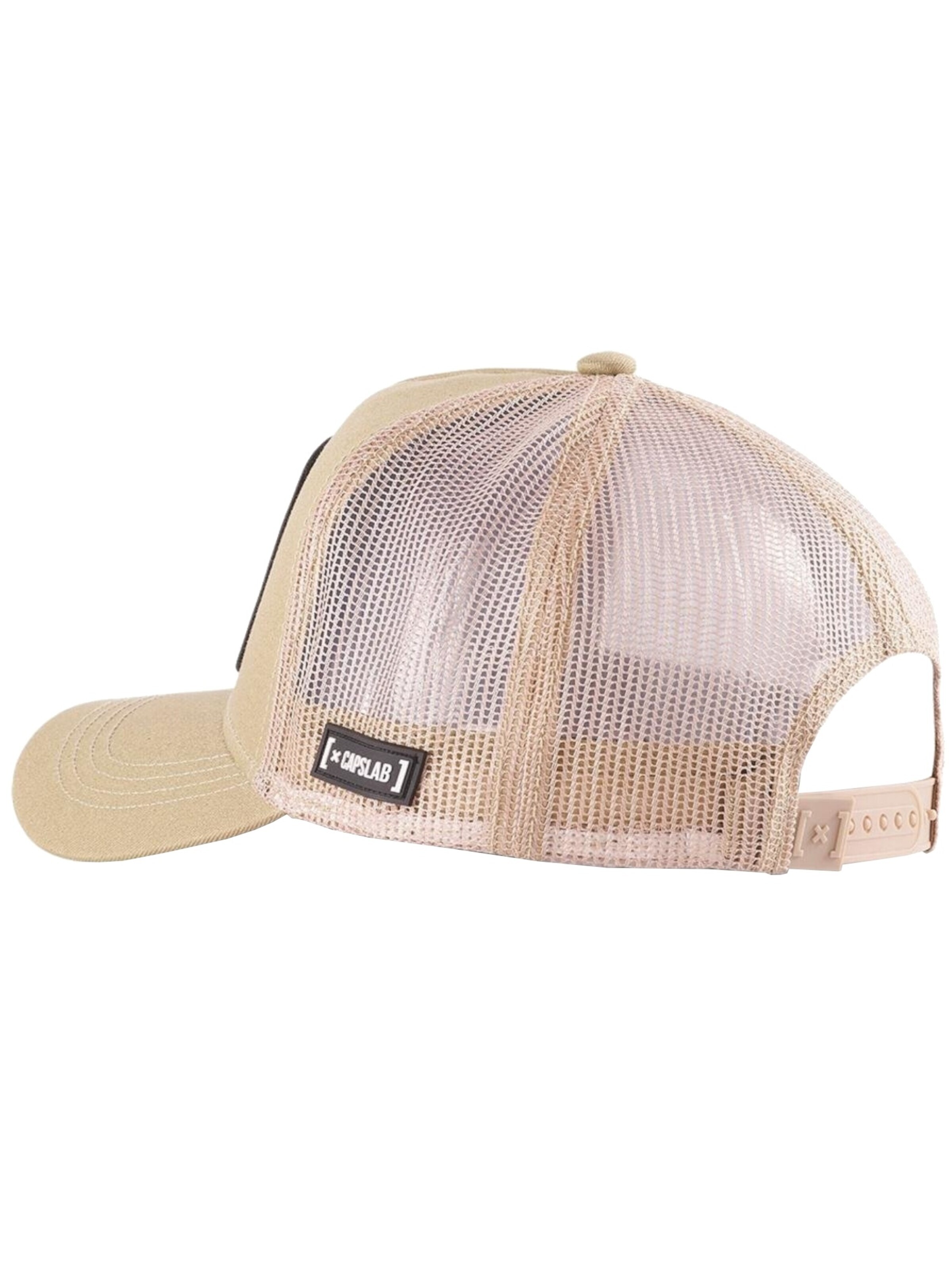 Capslab Pet 'Looney Tunes Daffy Duck' in Bruin