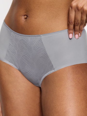 TRIUMPH Slip ' Red Label Essential Minimizer ' in Grey