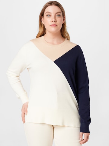 Pullover di Dorothy Perkins Curve in beige: frontale