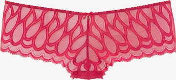 LASCANA Boyshorts in Red: front