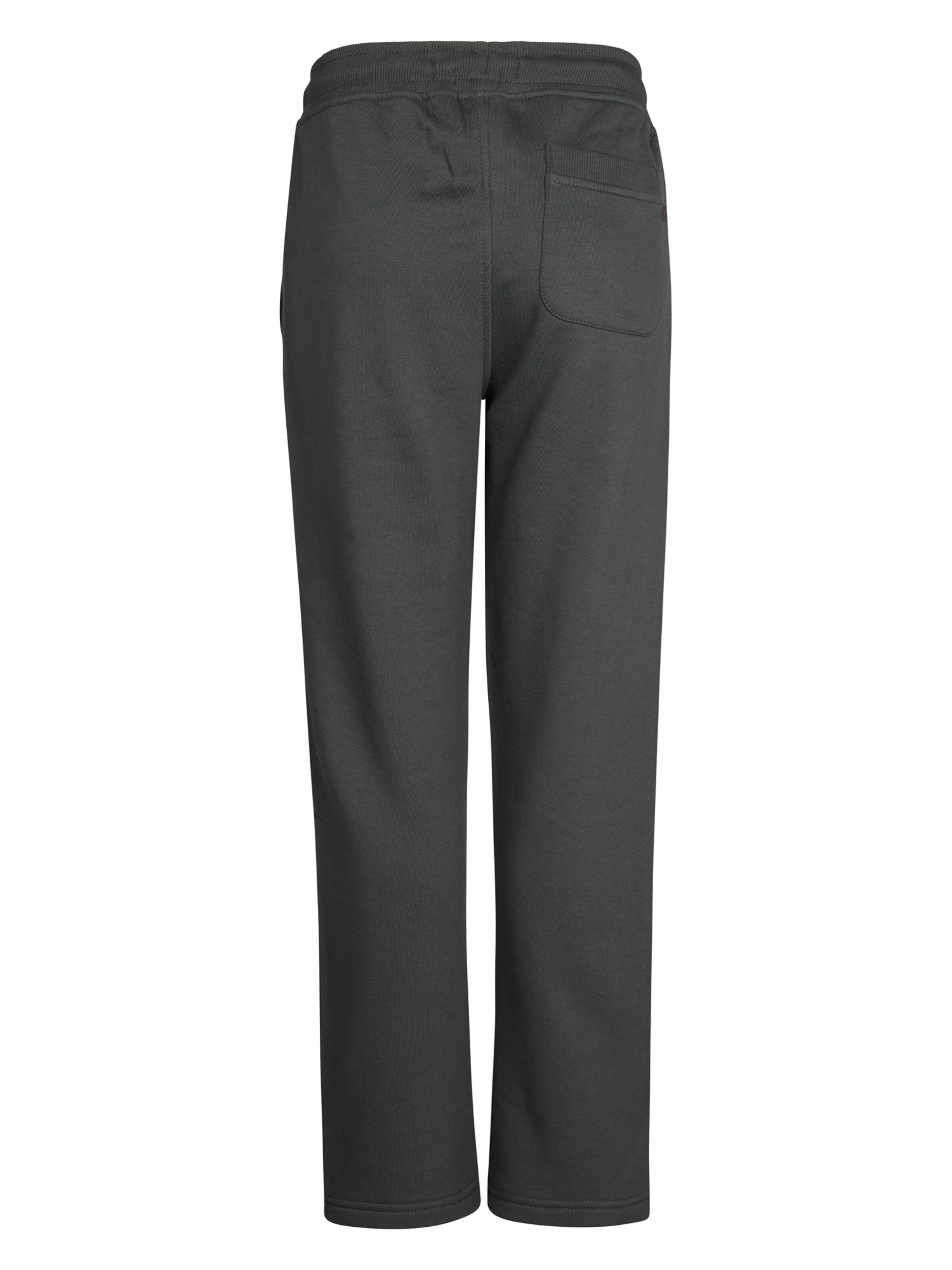 Petrol Industries Regular Trousers in Grey