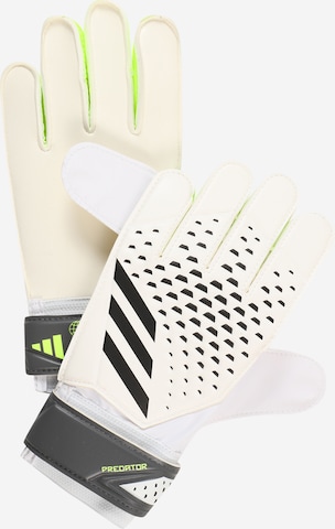 ADIDAS PERFORMANCE Athletic Gloves 'Predator Goalkeeper' in White: front