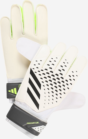 Guanti sportivi 'Predator Goalkeeper' di ADIDAS PERFORMANCE in bianco: frontale