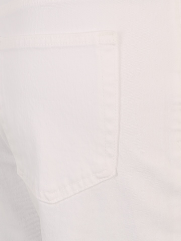 Gap Petite Regular Jeans 'CHEEKY' in White