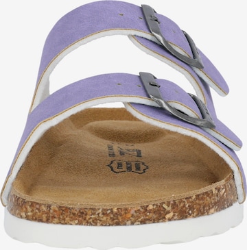 Cruz Sandals 'Whitehill' in Purple