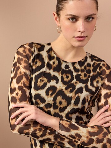 Next Dress in Brown