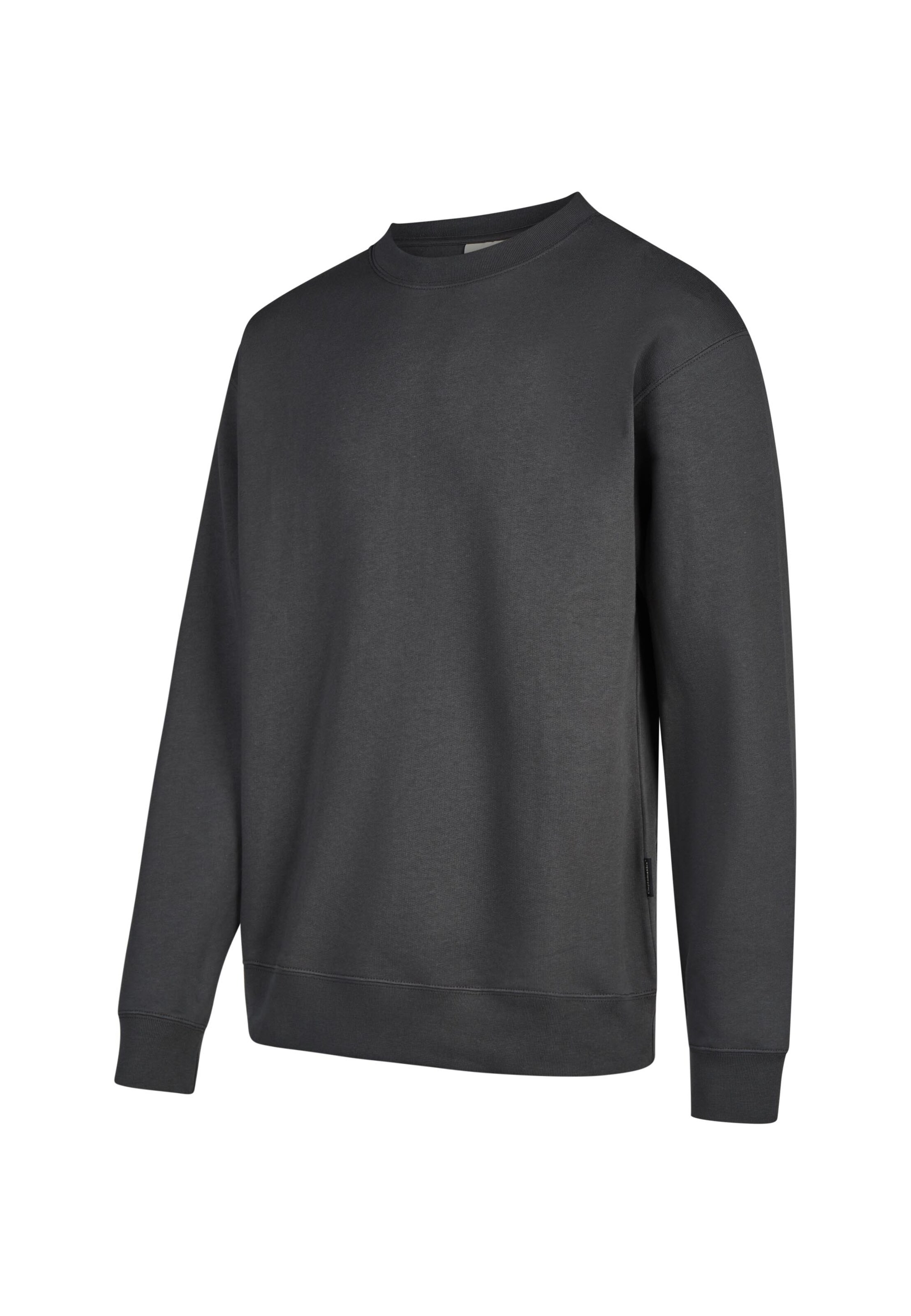 Cleptomanicx Sweatshirt 'Crewneck Ligull Classic' in Grau