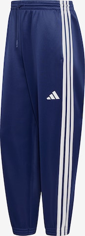 ADIDAS SPORTSWEARSportske hlače 'STADIUM' - plava boja: prednji dio