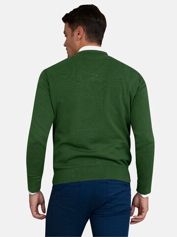 Williot Sweater in Green