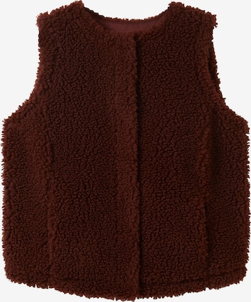 Gilet Tom Tailor Women + en marron : devant